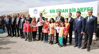 Battalgazi Belediyesi 100 Bin Fidan Dikecek