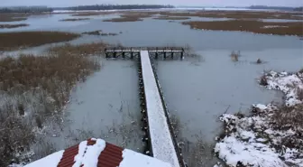 Efteni Gölü Abant'a Rakip Olacak