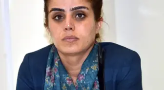 Hdp'li Başaran Gözaltına Alındı