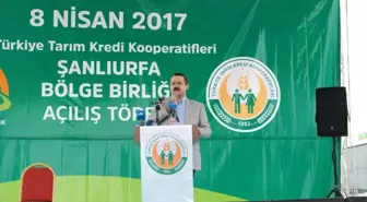 Bakan Çelik'ten Çiftçilere Müjde