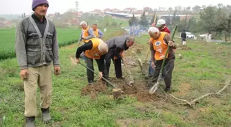 Malkara'da 250 Fidan Toprakla Buluştu