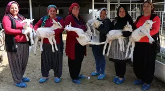 45 Kadın 'Uygulamalı Çobanlık Eğitimi' Alıyor