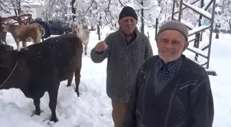 Kahramanmaraş'ta 200 Yıldır Süren Gelenek