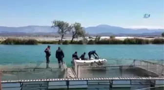 Kullandığı Teknenin Kontrolünü Kaybeden Genç, Boğularak Öldü