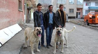 Motorize, Atlı ve Köpekli Ekipleriyle Güven Veriyorlar