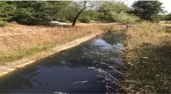 Yenice Tarım Şehri Olma Yolunda