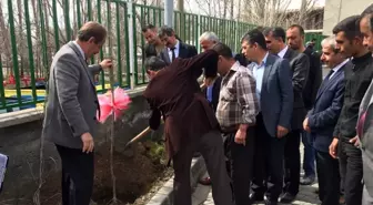 Adilcevaz'da Çiftçilere 6 Bin 500 Fidan Dağıtıldı