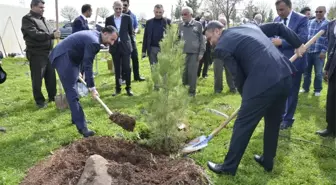 Hükümlüler Fidan Dikti