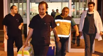Dha Yurt Bülteni - 20