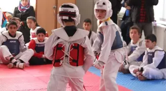 Taekwondo Yıldızlar İl Birinciliği Yapıldı