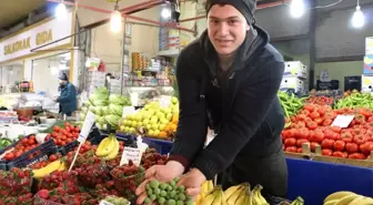 Yerli Kayısı Tezgahlara İnmeye Başladı
