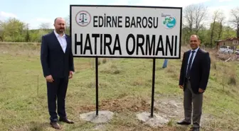 Edirne Barosu Hatıra Ormanına 300 Adet Ihlamur Fidanı Dikildi