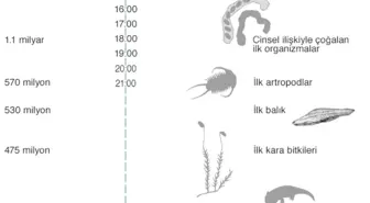 Dünya Üzerindeki En Eski Yaşam Kalıntısı 'Bulundu'