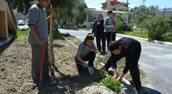 Lise Öğrencileri Organik Gübre Üretti