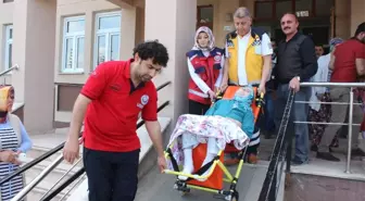 71 Yaşındaki Hasta Kadın Ambulansla Gelerek Oy Kullandı