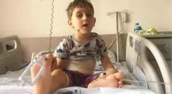 Topun Peşinden Koşan Çocuğa Köpekler Saldırdı