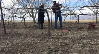 Bağcılıkta Arazi Çalışmaları Devam Ediyor