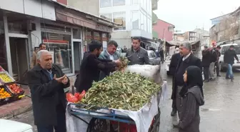 Gulik Otu Geçim Kaynağı Oldu