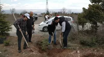 Özel Ümit Hastaneleri'nden Yeşile Katkı