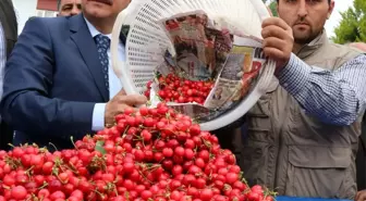 Sezonun İlk Kirazı Pazara Çıktı