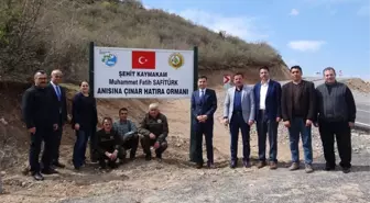 Şehit Kaymakam Safitürk'ün Anısı Hatıra Ormanında Yaşatılacak