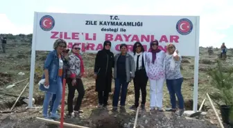 Bayanlardan Zile'ye Hatıra Ormanı