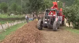 Fındık Patozuna Tse Standardı - Ordu