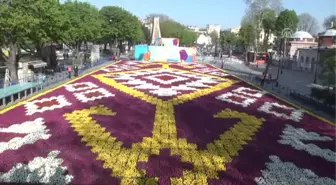 Sultanahmet'te 1453 Metrekarelik 'Lale Halısı' Hazırlandı