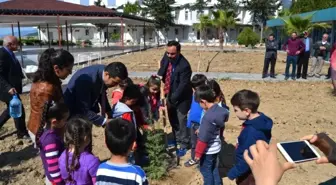 Bozyazı'da Minik Öğrenciler Fidan Dikti