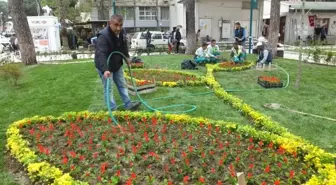 Burhaniye'de Park ve Refüjlere Belediye Güzelliği