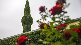 Botanik Bahçesi Gibi Cami