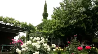 Botanik Bahçesi Gibi Cami