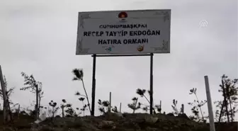 Hakkari'de Engelli Çocuklar Fidan Dikti