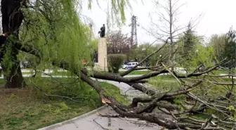 Erzincan'da Şiddeti Rüzgarda Çatılar Uçtu, Ağaçlar Devrildi