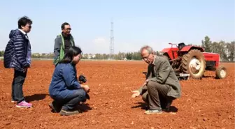 Taylandlı Bilim Adamları 'Mevlana Çizeri' İçin Antalya'da