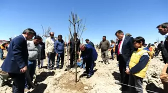 Yyü'de Yeşillendirme Çalışması