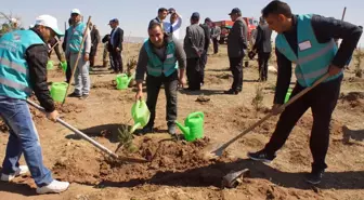 Mahkumlar Fidanları Toprakla Buluşturdu