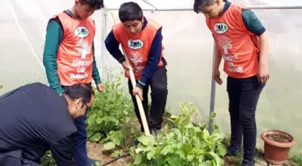 Tema Öğrencilere Doğa Sevgisi Aşılıyor