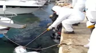 Tonlarca Yakıt Sızmıştı, Korkutan Bilirkişi Raporu Açıklandı