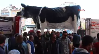 Burdur Tarım ve Hayvancılık Fuarı Açıldı