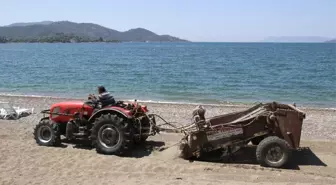 Çalış Plajı Kumsalı Traktörle Temizleniyor