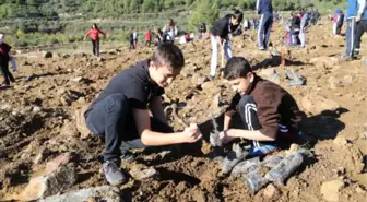 Hatay'da 15 Temmuz Şehitleri Anısına Hatıra Ormanı