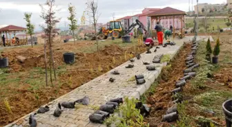 Kavak Kaymakamlığı Hatıra Ormanı Oluşturuldu