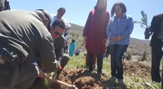 Kızılcahamam'da 'Ebeler ve Hemşeriler Haftası' Kutlandı