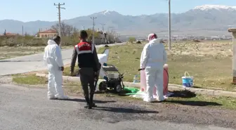 Niğde'de Kuş Gribi Şüphesi