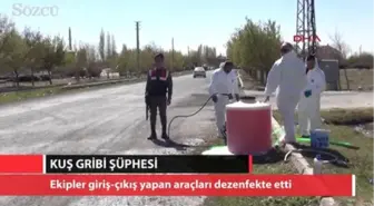 Niğde'de Kuş Gribi Şüphesi