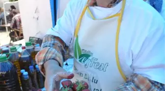 Didim'de Vegan Festivali Vegfest Başladı