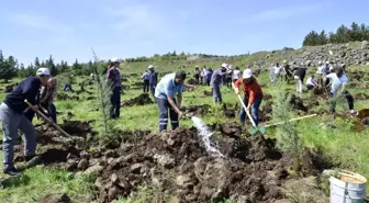 Diski Çalışanları Fidan Dikti