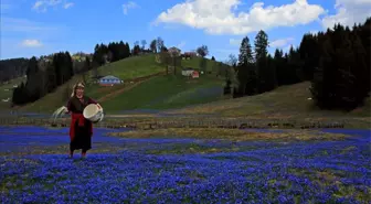 Kadıralak Yaylası 'Mavi Yıldız'Larla Süslendi