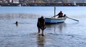 Silahla Vurulan Yunuslar Bulunamadı, Balıkçılar Serbest Kaldı